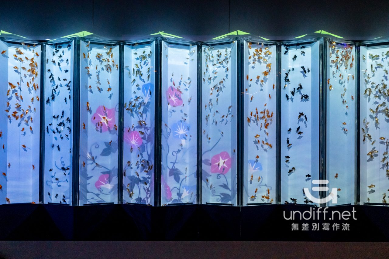 【熊本展覽】Art Aquarium 金魚展 》燈光與金魚共舞的奇幻展覽 96